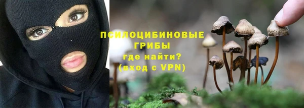 бутик Бородино