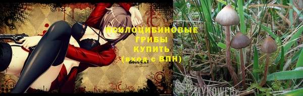 герыч Бронницы