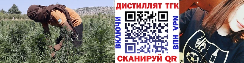 Дистиллят ТГК вейп с тгк Городовиковск